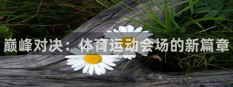 搜球体育app官网入口：巅峰对决：体育运动会场的新篇章