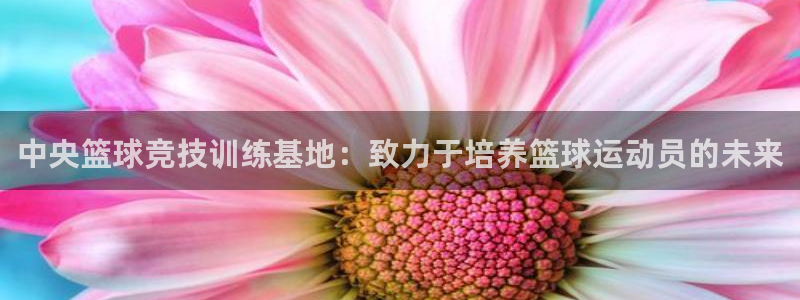 搜球体育：中央篮球竞技训练基地：致力于培养篮球运动员的未来