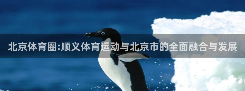 搜球体育CCT5：北京体育圈:顺义体育运动与北京市的全面融合与发展