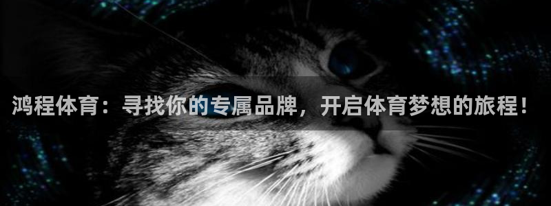 搜球体育官网：鸿程体育：寻找你的专属品牌，开启体育梦想的旅程！