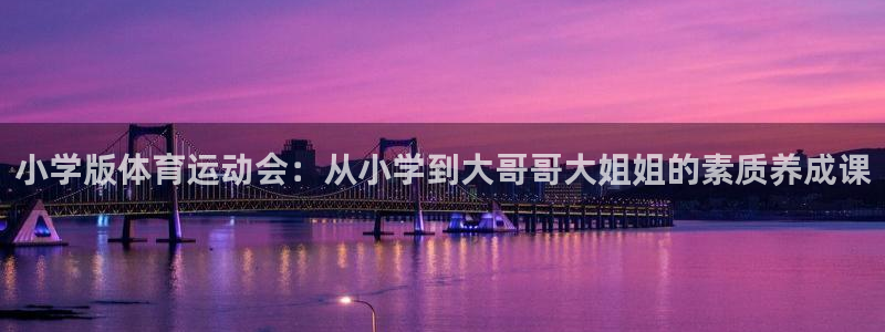 搜球体育：小学版体育运动会：从小学到大哥哥大姐姐的素质养成课