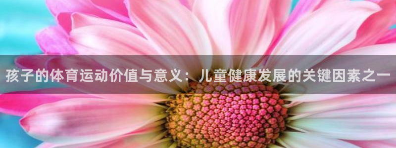 搜球体育：孩子的体育运动价值与意义：儿童健康发展的关键因素之一