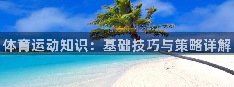 搜球体育足球：体育运动知识：基础技巧与策略详解